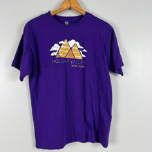 Load image into Gallery viewer, Holiday Valley NY t-shirt
