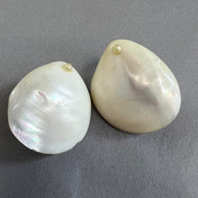 Load image into Gallery viewer, Vintage shell clip ons
