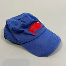 Load image into Gallery viewer, Buffalo themed hat
