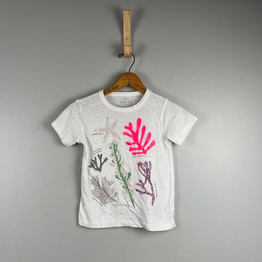 Crewcuts collectible kids t-shirt