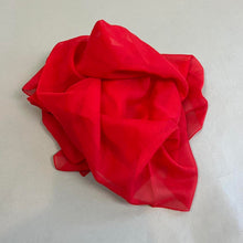 Load image into Gallery viewer, Vintage red scarf
