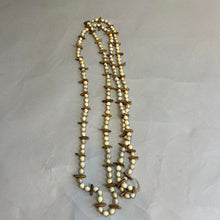 Load image into Gallery viewer, Vintage seed necklace
