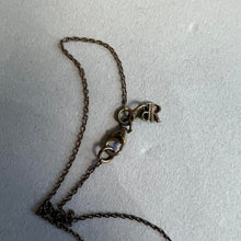 Load image into Gallery viewer, BR dainty long necklace
