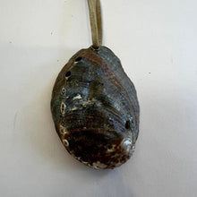 Load image into Gallery viewer, Vintage shell and suede necklace
