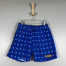 Load image into Gallery viewer, The BFLO store mens swim trunks
