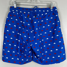 Load image into Gallery viewer, The BFLO store mens swim trunks
