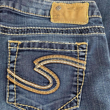 Load image into Gallery viewer, Retro silver jeans co jeans
