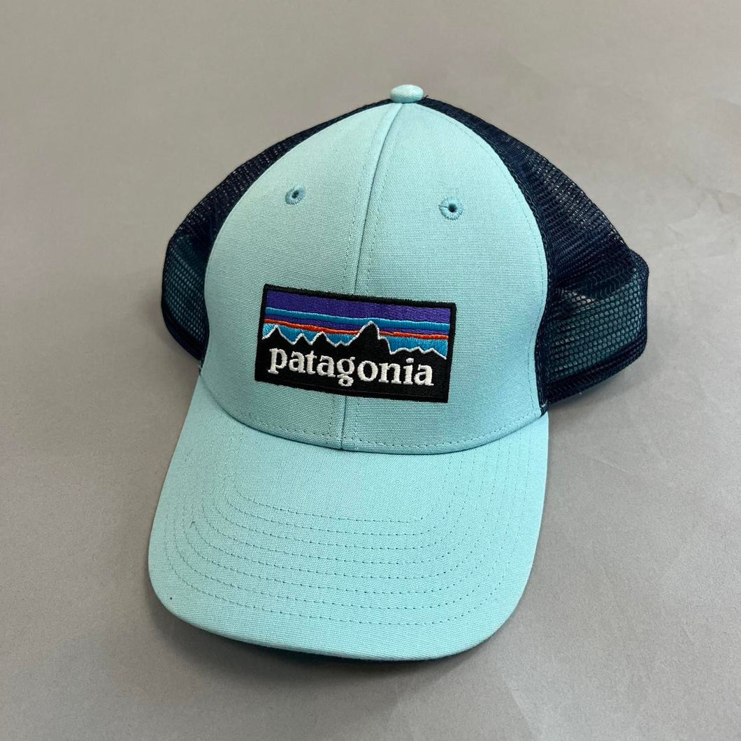 Patagonia snap back hat