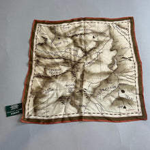 Load image into Gallery viewer, Vintage RARE Ralph Lauren silk scarf
