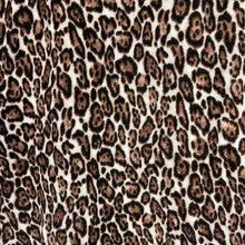 Load image into Gallery viewer, Retro cheetah knit top
