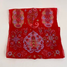 Load image into Gallery viewer, Vintage celebratees scarf
