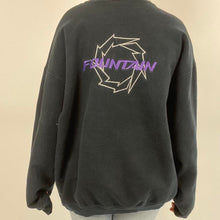 Load image into Gallery viewer, Vintage fountain sweatshirt
